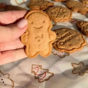 Imbieriniai sausainiai su medumi