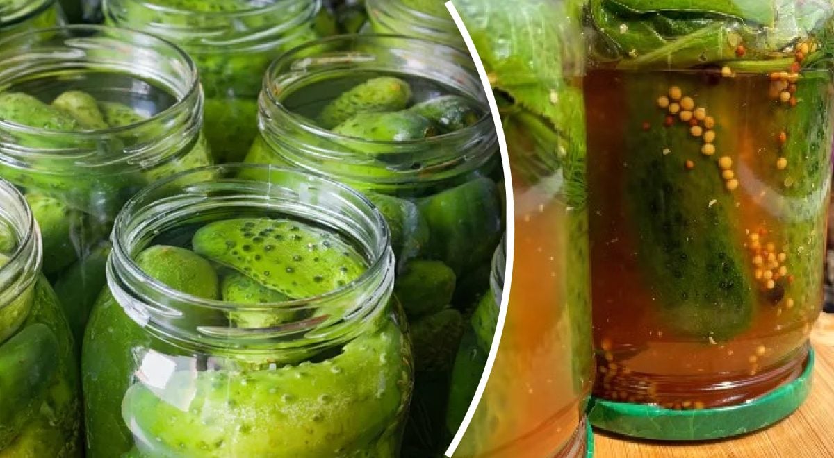 Paruošti marinuoti agurkai su pomidorų padažu